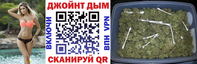 Канабис ГИДРОПОН Суздаль